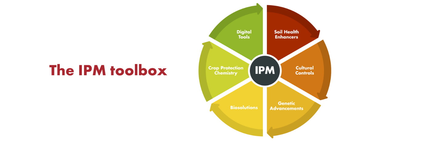 An integrated approach to agronomy services and crop management