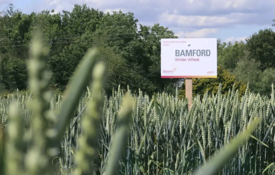 Screenshot 2025 11 28 123315