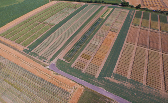 Agrii Throws Farm Trial Plots from above