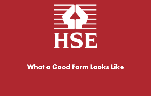 What a good farm looks like HSE