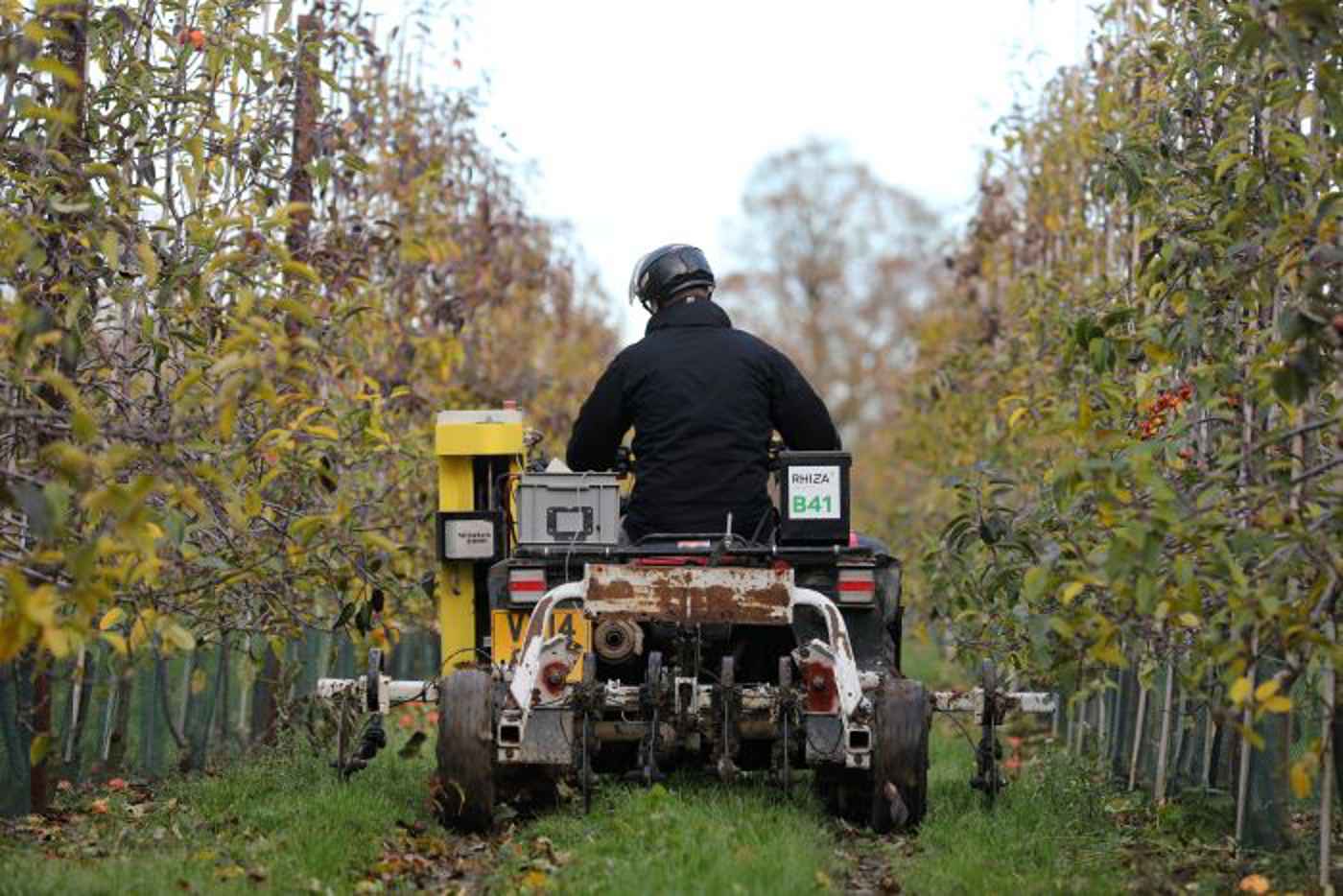 Rhiza Soil Scanning at Braiseworth Orchards