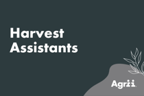 Harvest Assistants