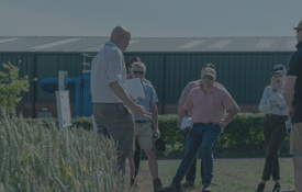 Agrii CTA Agronomy