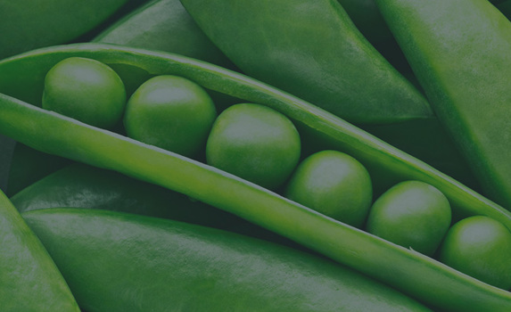 Agrii CTA Peas