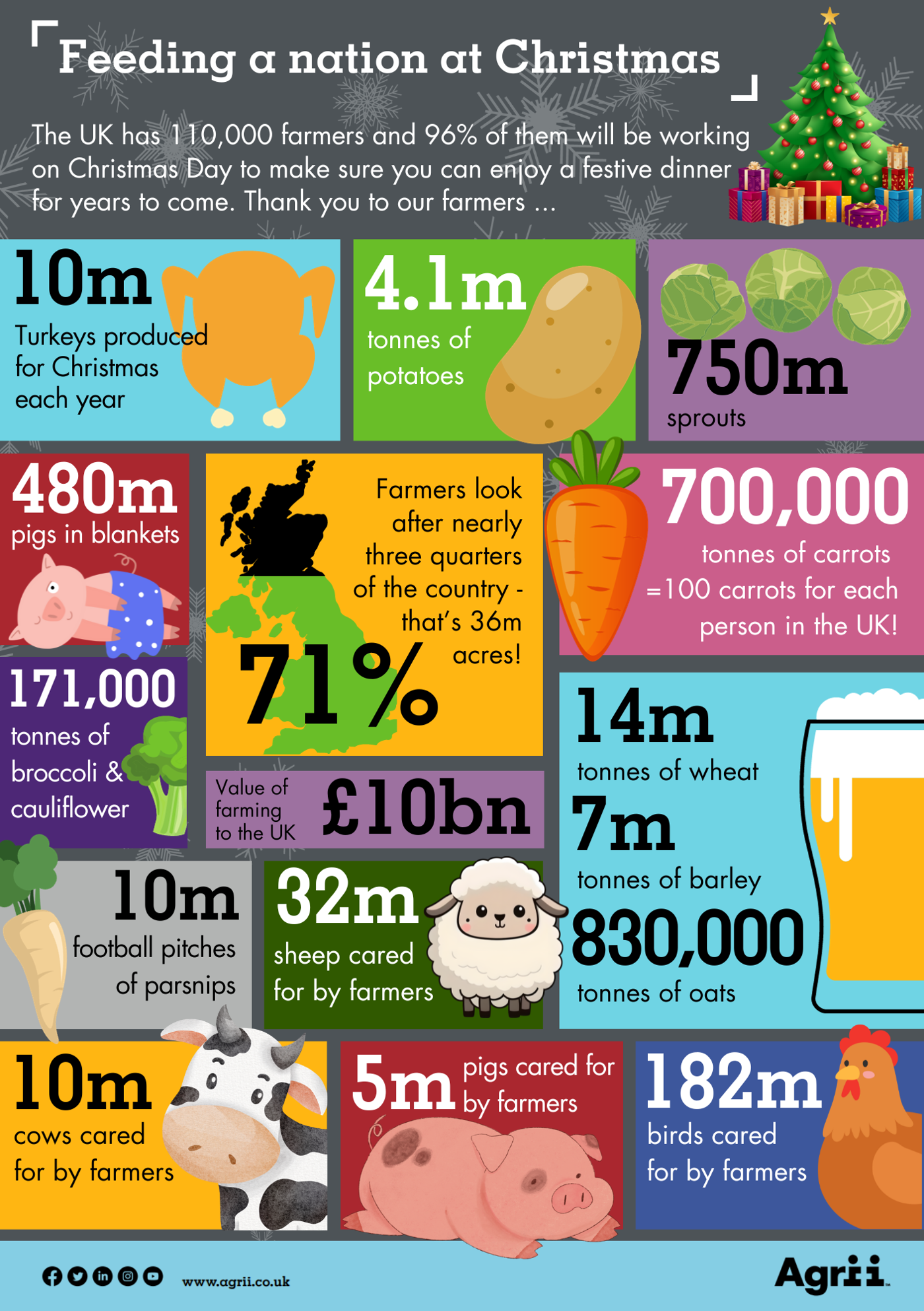 UK farmers help to produce 10m turkeys, 700,000 tonnes of carrots, 171,000 tonnes of broccoli and cauliflower, 25m Christmas puddings and more than 20m tonnes of cereals for Christmas each year. This year 4.1m tonnes of potatoes have been produced but this is the lowest ever recorded harvest dues to the wet weather. A total of 750m sprouts have been grown, but this number has been severely impacted by disease, and 40 million packets of pigs in blankets are also produced