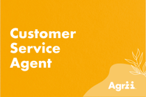 Customer Service Agent