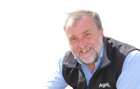 Steve Corbett