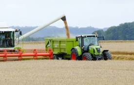 Harvest Image 1