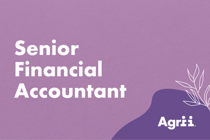 Senior Financial Accountant